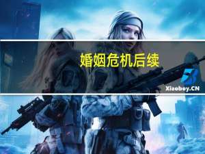 婚姻危机后续