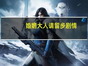 婚姻大人请留步剧情