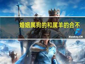 婚姻属狗的和属羊的合不