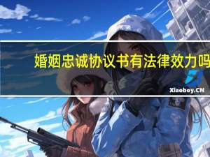 婚姻忠诚协议书有法律效力吗