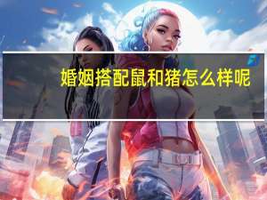 婚姻搭配鼠和猪怎么样呢