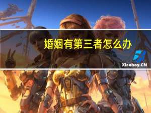 婚姻有第三者怎么办