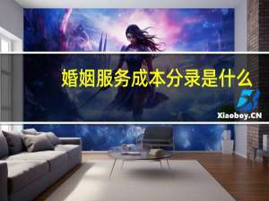 婚姻服务成本分录是什么
