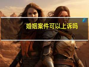 婚姻案件可以上诉吗