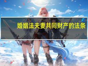 婚姻法夫妻共同财产的法条