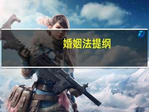 婚姻法提纲