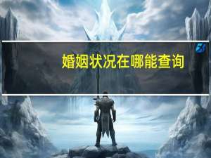 婚姻状况在哪能查询
