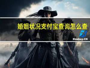 婚姻状况支付宝查询怎么查
