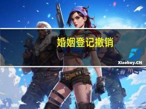 婚姻登记撤销