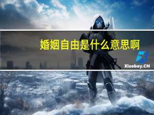 婚姻自由是什么意思啊