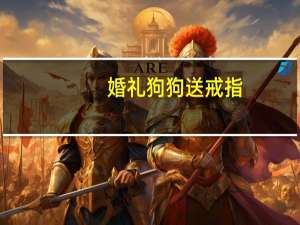 婚礼狗狗送戒指