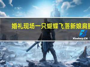 婚礼现场一只蝴蝶飞落新娘肩膀：爸爸，女儿知道是你