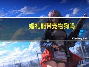婚礼能带宠物狗吗
