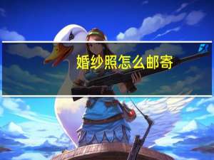 婚纱照怎么邮寄