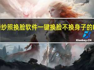 婚纱照换脸软件 一键换脸不换身子的P图软件