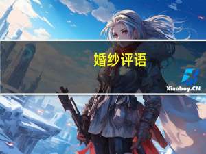 婚纱评语