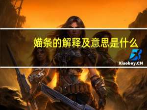 媌条的解释及意思是什么