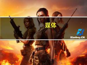 媒体：以色列对加沙地带一所学校的袭击造成约200人死亡