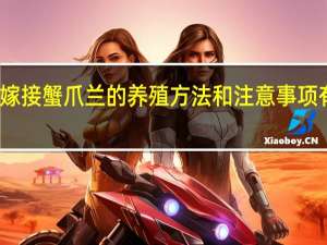 嫁接蟹爪兰的养殖方法和注意事项有哪些