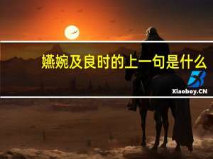 嬿婉及良时的上一句是什么