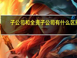 子公司和全资子公司有什么区别（全资子公司和分公司的区别）