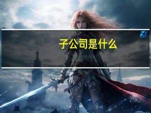 子公司是什么？