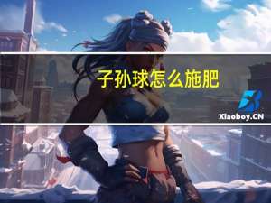 子孙球怎么施肥