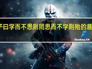 子曰学而不思则罔思而不学则殆的意思解析
