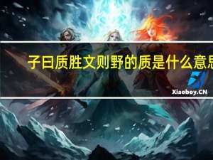 子曰质胜文则野的质是什么意思