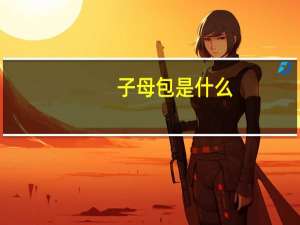 子母包是什么