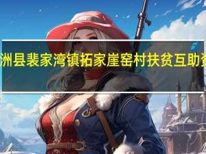 子洲县裴家湾镇拓家崖窑村扶贫互助资金协会(关于子洲县裴家湾镇拓家崖窑村扶贫互助资金协会简述)