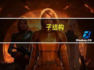 子结构(关于子结构简述)