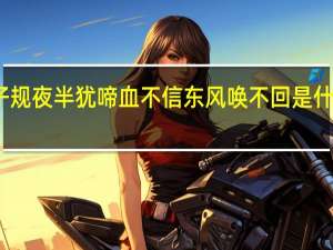 子规夜半犹啼血不信东风唤不回是什么意思