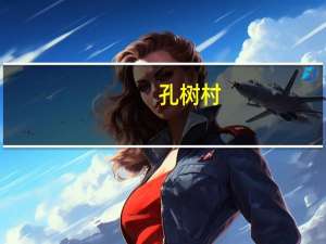 孔树村(关于孔树村简述)