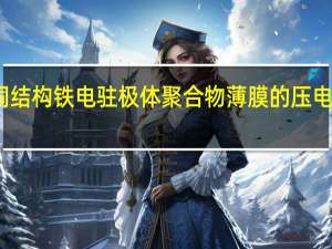 孔洞结构铁电驻极体聚合物薄膜的压电性能研究(关于孔洞结构铁电驻极体聚合物薄膜的压电性能研究简述)
