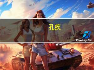 孔疚(关于孔疚简述)