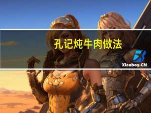 孔记炖牛肉做法