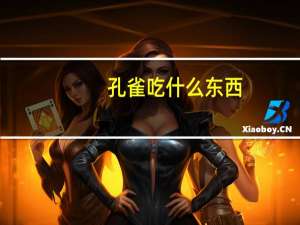 孔雀吃什么东西