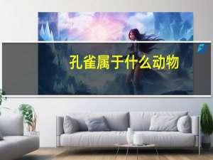 孔雀属于什么动物