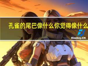 孔雀的尾巴像什么 你觉得像什么呢