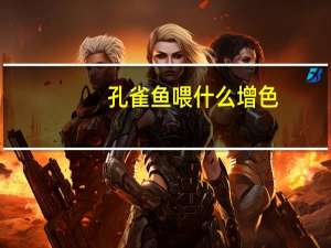 孔雀鱼喂什么增色