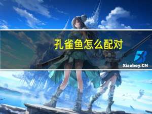 孔雀鱼怎么配对