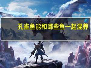 孔雀鱼能和哪些鱼一起混养