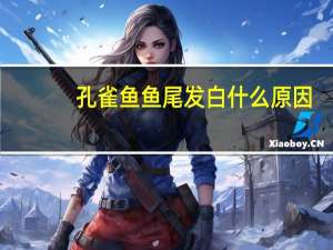 孔雀鱼鱼尾发白什么原因