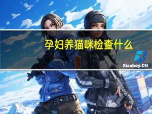 孕妇养猫咪检查什么