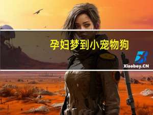 孕妇梦到小宠物狗