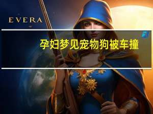 孕妇梦见宠物狗被车撞