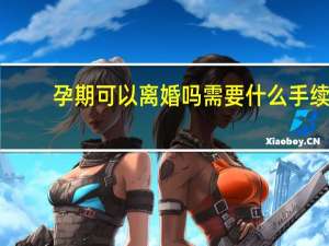 孕期可以离婚吗需要什么手续