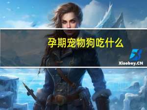 孕期宠物狗吃什么