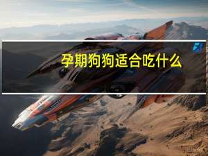 孕期狗狗适合吃什么